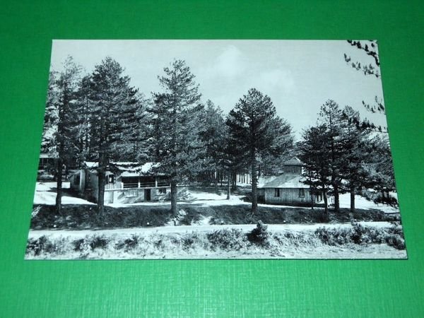 Cartolina Bellezze di Calabria - Sila - Fago del Soldato …