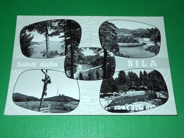 Cartolina Saluti dalla Sila - Vedute diverse 1960 ca ( …