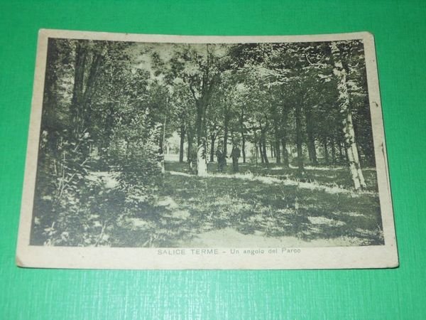 Cartolina Salice Terme - Un angolo del Parco 1940