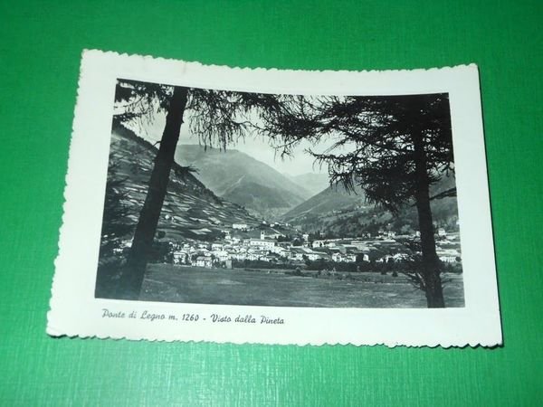 Cartolina Ponte di Legno - Visto dalla Pineta 1950