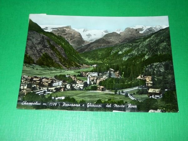 Cartolina Champoluc - Panorama e Ghiacciai del Monte Rosa 1959