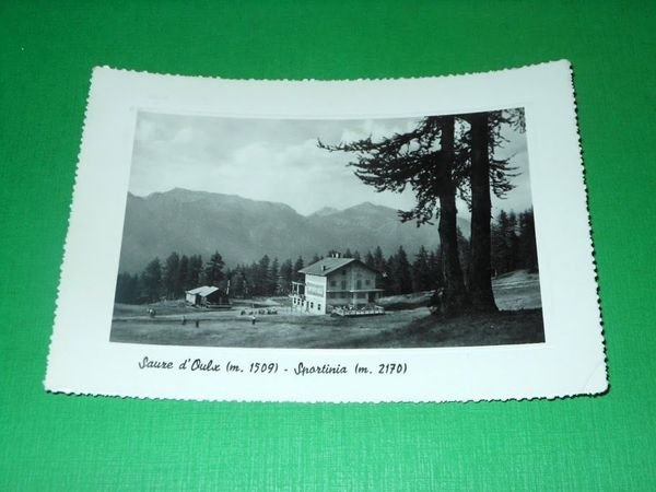 Cartolina Sauze d' Oulx - Sportinia 1952 | Immagine principale