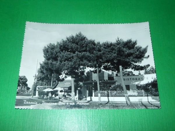 Cartolina Tirrenia - Pensione Bini e via Pisorno 1950 ca