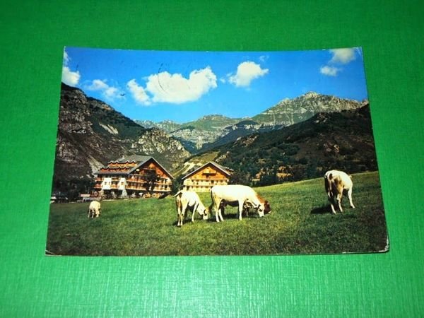 Cartolina Limone Piemonte - Campo Maneggio Complesso Edelweiss 1979 | Immagine principale