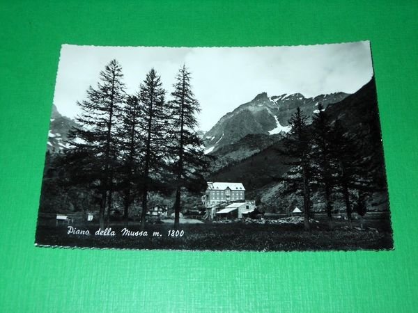 Cartolina Piano della Mussa - Scorcio panoramico 1956 | Immagine Gallery 1