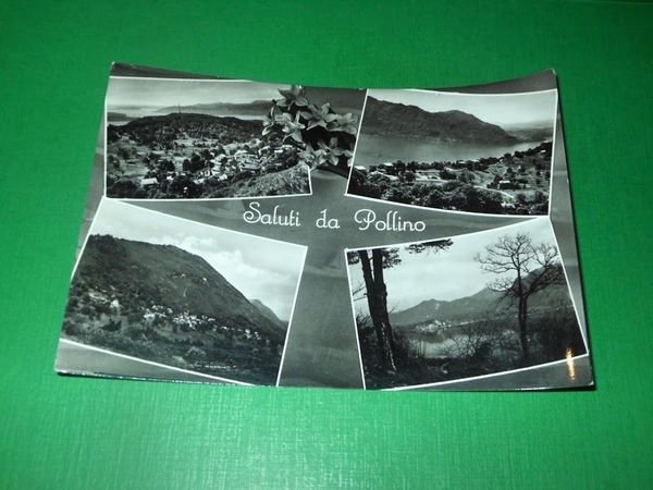 Cartolina Saluti da Pollino - Vedute diverse 1960 ca