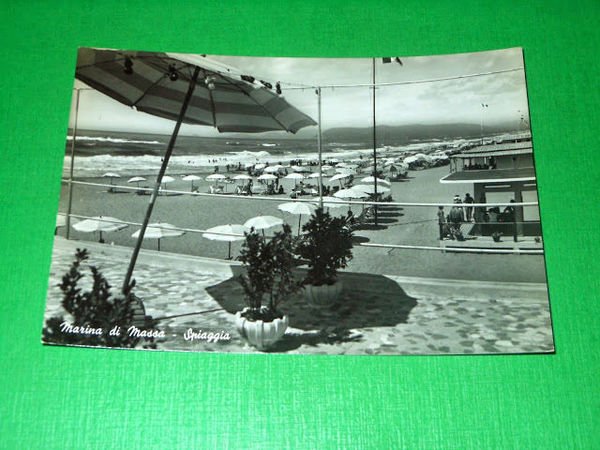 Cartolina Marina di Massa - Spiaggia 1955