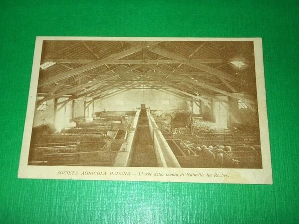 Cartolina Pubblicità - Società Agricola Padana - L'ovile di Nainvilla …