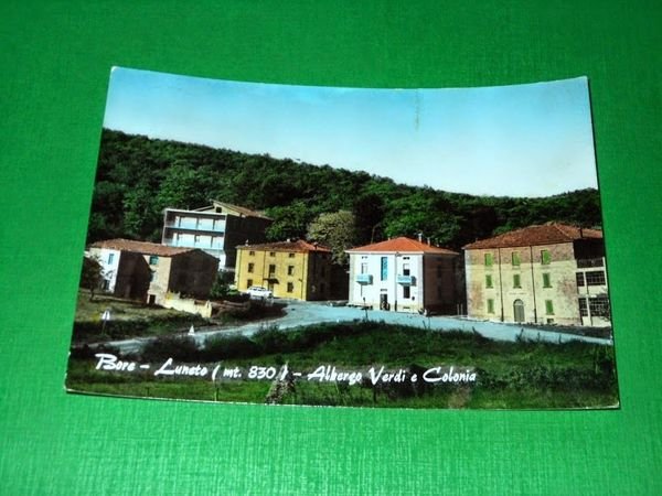Cartolina Bore - Luneto - Albergo Verdi e Colonia 1965