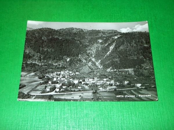 Cartolina Arta ( Carnia ) - Panorama 1951