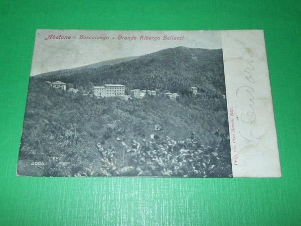Cartolina Abetone - Boscolungo - Grande Albergo Bellucci 1904
