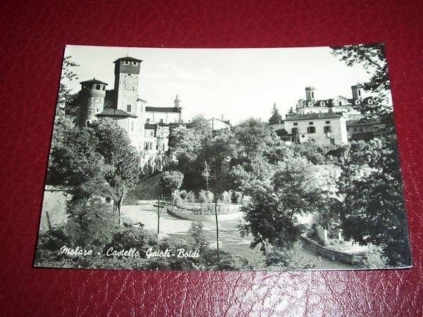 Cartolina Molare - Castello Gaioli - Boidi 1961