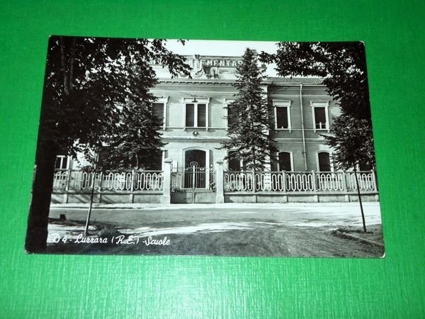 Cartolina Luzzara ( Reggio Emilia ) - Scuole 1963