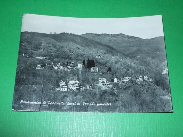 Cartolina Panoramica di Pessinetto Fuori ( da ponente ) 1950 … | Immagine Gallery 1