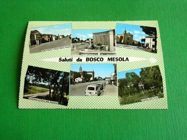 Cartolina Saluti da Bosco Mesola - Vedute diverse 1960 ca