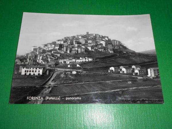 Cartolina Forenza ( Potenza ) - Panorama 1964