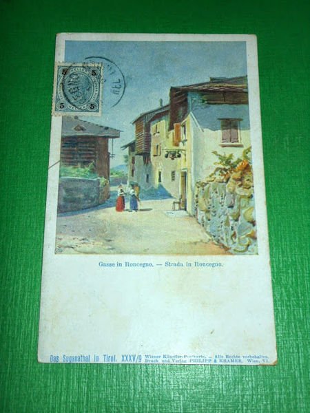 Cartolina Roncegno ( Trento ) - Particolare 1900 ca.