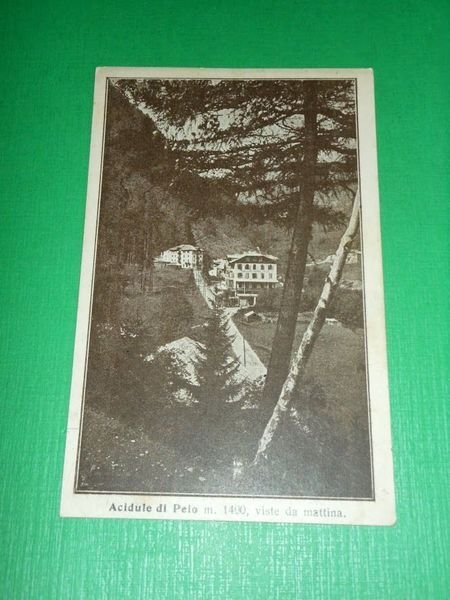 Cartolina Acidule di Peio - Scorcio panoramico 1915 ca