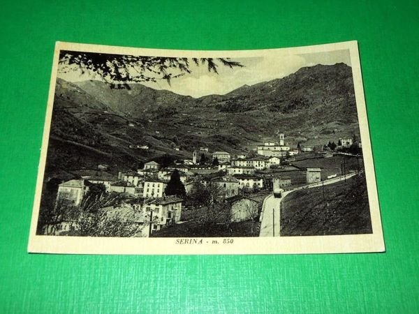 Cartolina Serina - Panorama 1959