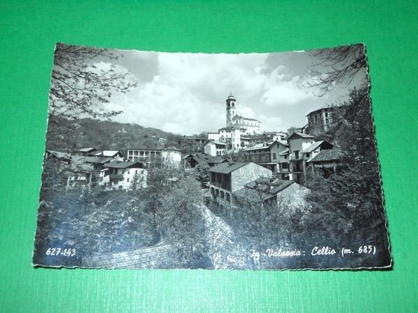 Cartolina In Valsesia - Cellio - Panorama 1952