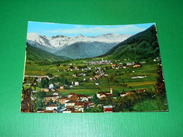 Cartolina Arta e Piano d'Arta ( Carnia ) - Panorama …