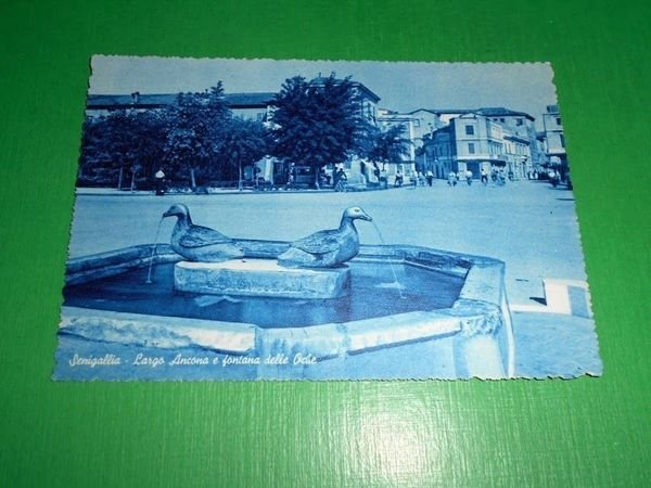 Cartolina Senigallia - Largo Ancona e fontana delle Oche 1950 …