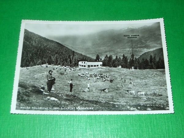 Cartolina Malga Palabione e Chalet Madonnina - Veduta 1960.