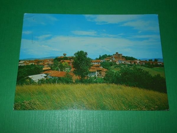 Cartolina Cinzano ( Torino ) - Panorama 1976.