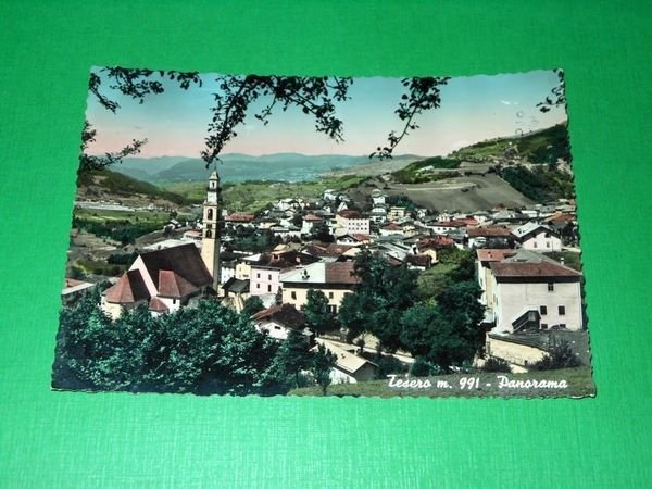 Cartolina Tesero ( Trento ) - Panorama 1956.
