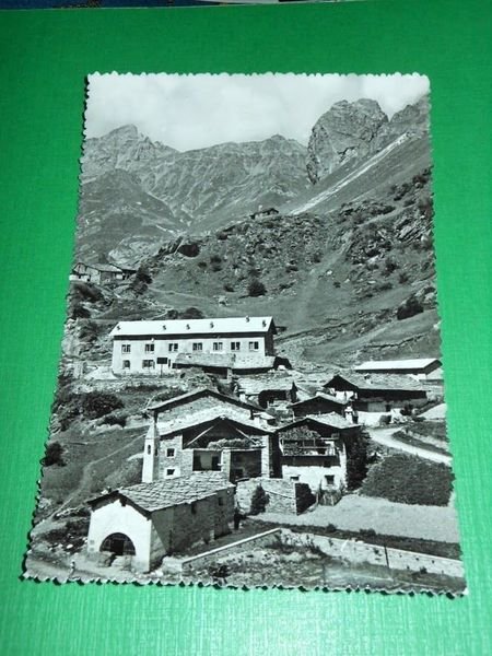 Cartolina Casteldelfino ( Cuneo ) - Casa per ferie Excelsior …