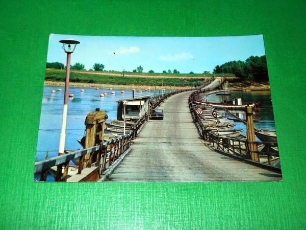 Cartolina Ficarolo ( Rovigo ) - Ponte in chiatte sul …