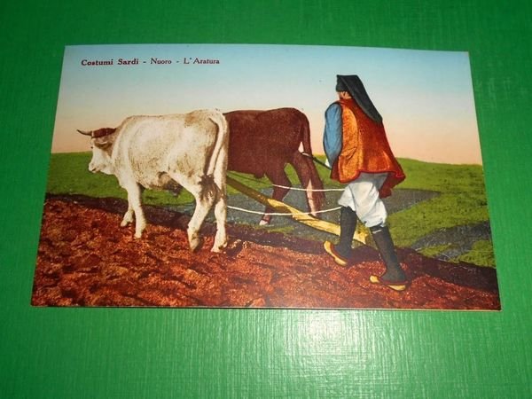 Cartolina Costumi Sardi - Nuoro - L' Aratura 1930 ca. …