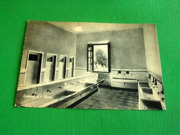 Cartolina Capezzano Pianore - Liceo Marianum Cavanis - Lavandini e … | Immagine principale