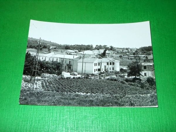 Cartolina Carlopoli - Scorcio panoramico 1955 ca.