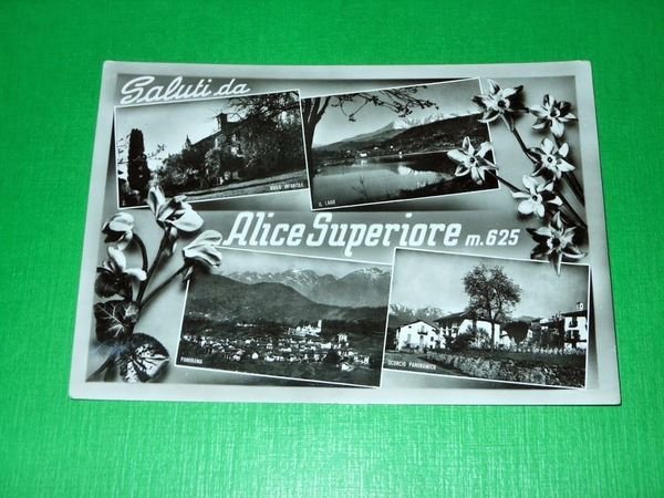 Cartolina Saluti da Alice Superiore - Vedute diverse 1961.