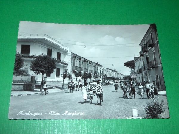 Cartolina Mondragone ( Caserta ) - Viale Margherita 1961.