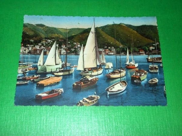 Cartolina Rapallo - Yachts in Porto 1955.