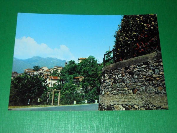 Cartolina Andrate - Scorcio pittoresco 1976.