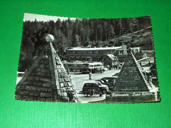 Cartolina Abetone - Bar Ristorante Lupo Bianco 1957
