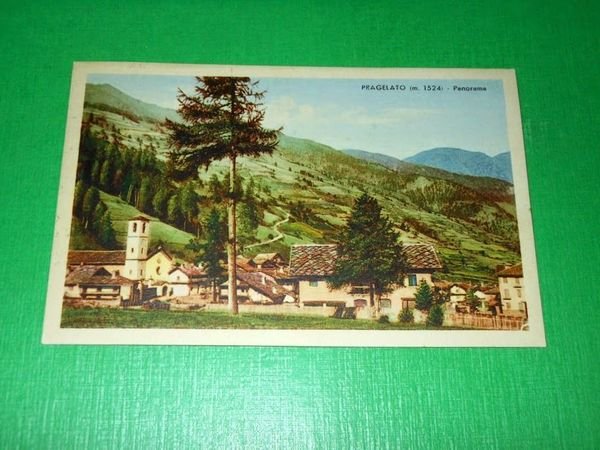 Cartolina Pragelato - Panorama 1955