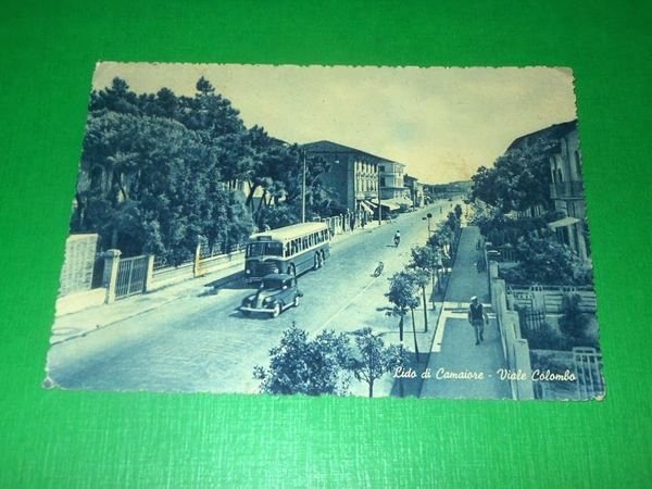 Cartolina Lido di Camaiore - Viale Colombo 1951