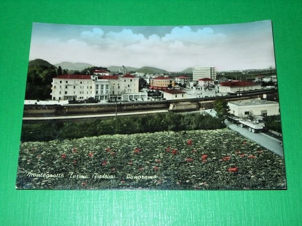 Cartolina Montegrotto Terme ( Padova ) - Panorama 1959 | Immagine principale