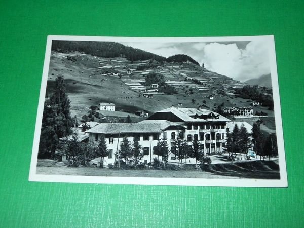 Cartolina Acidule di Peio ( Trento ) - Grande Albergo …