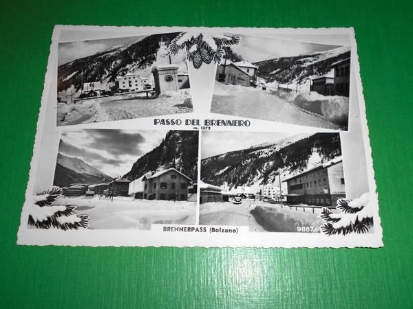Cartolina Passo del Brennero - Brennerpass ( Bolzano ) 1950 …