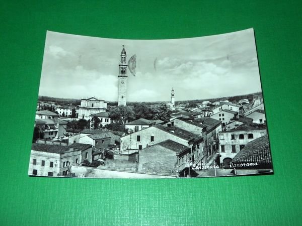 Cartolina Lendinara ( Rovigo ) - Panorama 1962