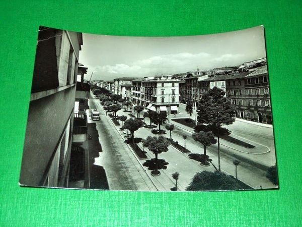 Cartolina Ancona - Viale della Vittoria 1952