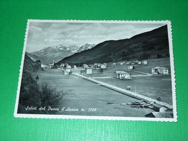 Cartolina Saluti dal Passo d' Aprica - Panorama 1953