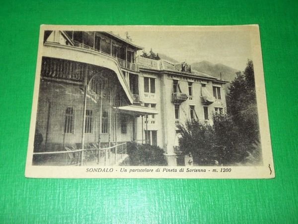 Cartolina Sondalo - Un particolare di Pineta di Sortenna 1950 …