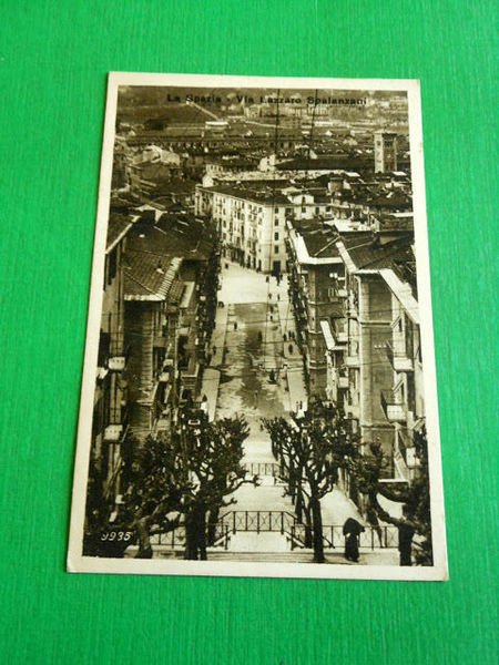 Cartolina La Spezia - Via Lazzaro Spalanzani 1930 ca