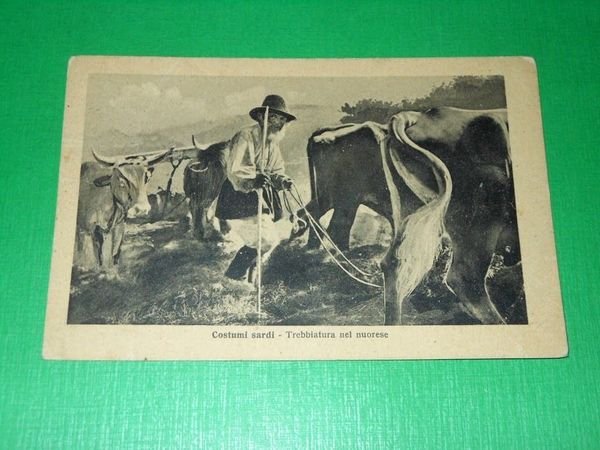 Cartolina Nuoro - Costumi sardi - Trebbiatura nel nuorese 1942 | Immagine principale